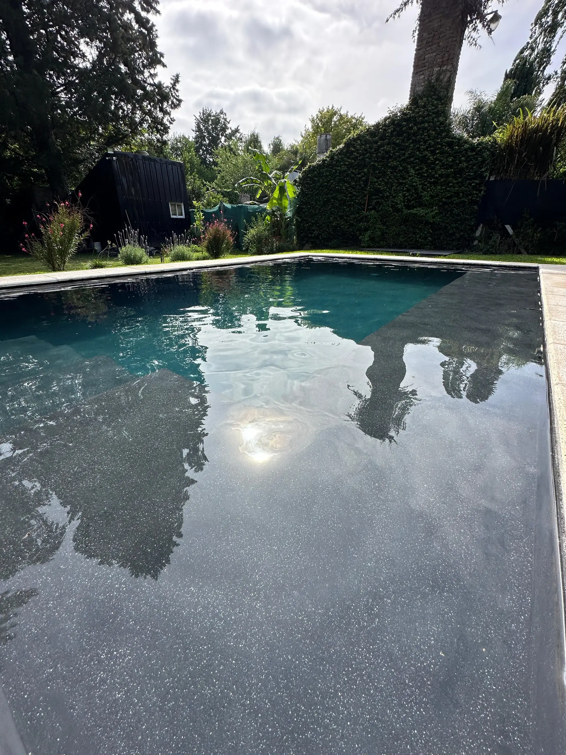 Agua al ras del borde de una piscina oscura que refleja los árboles y el cielo