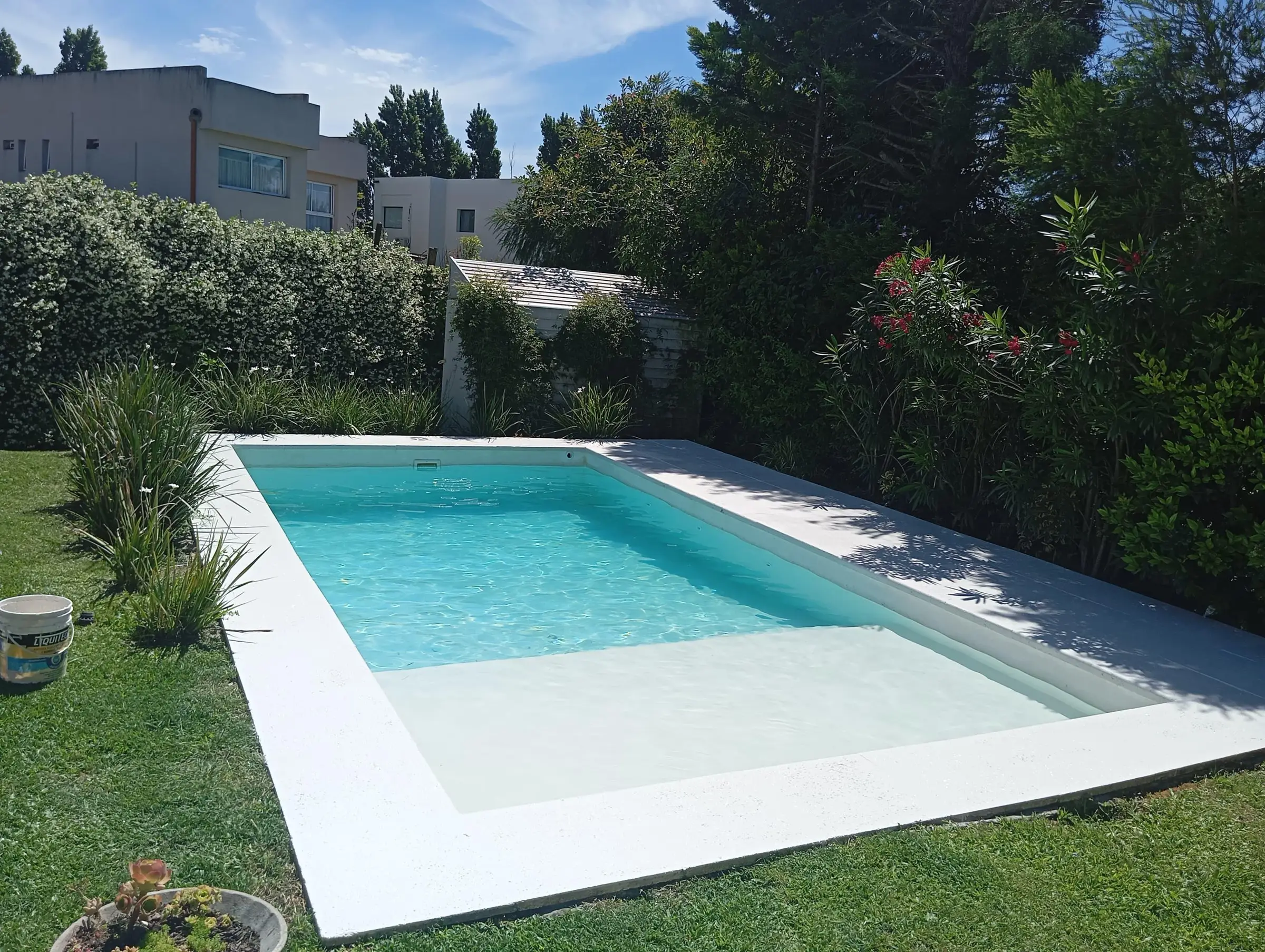 Piscina con solado húmedo de fondo blanco en uno de sus extremos, rodeada de jardín