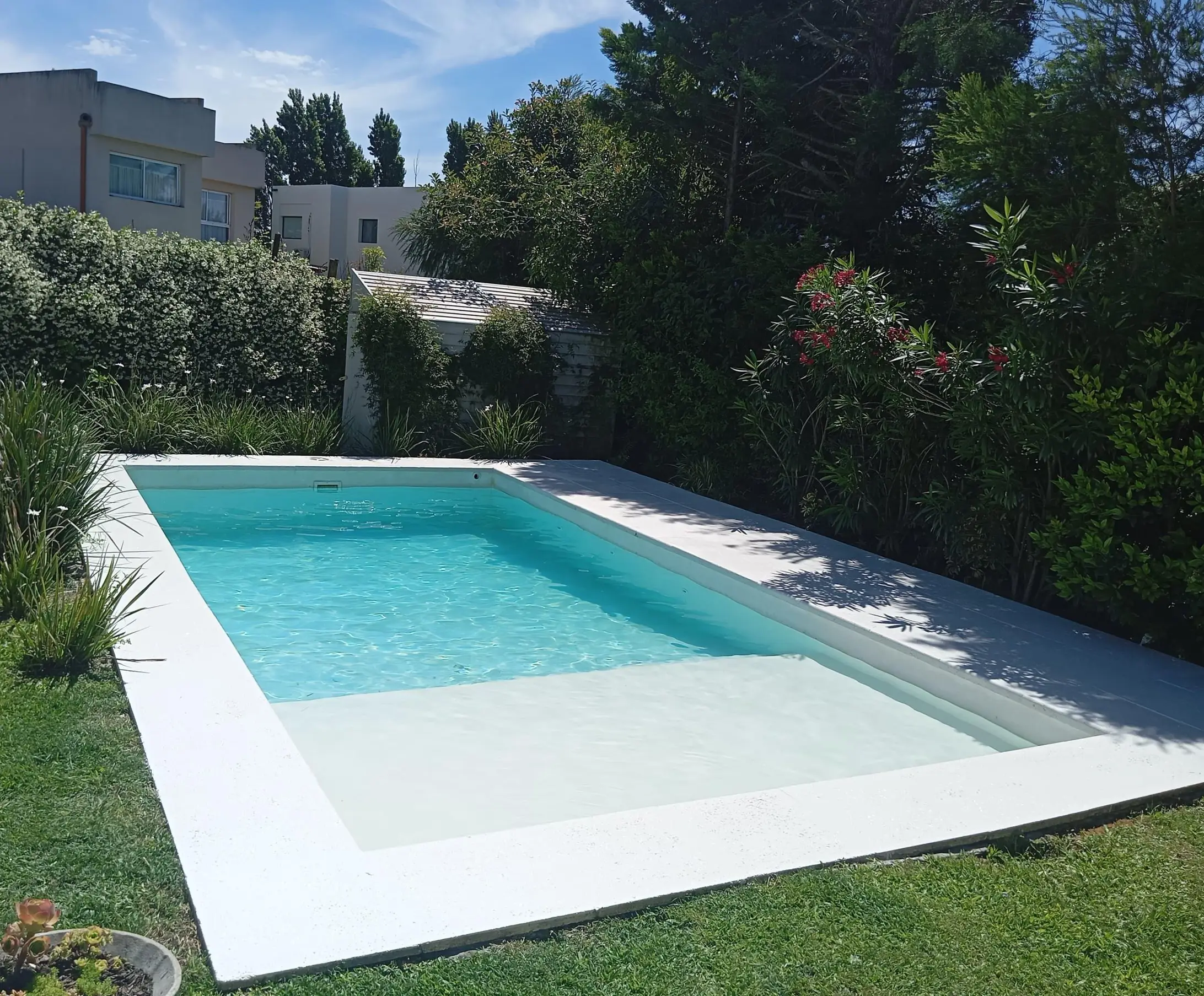 Piscina de fondo blanco entre el césped, un cerco verde y arbustos con flores